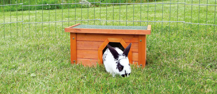 TRIXIE natura Kleintierhaus, 40 × 20 × 28 cm, braun